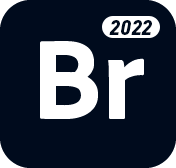 Adobe Bridge 2022